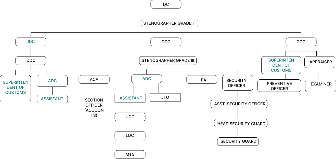 CSEZ Organisation Chart
